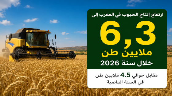 تقرير الفاو: تعافي الإنتاج الفلاحي بالمغرب لا يلغي تحديات الأمن الغذائي