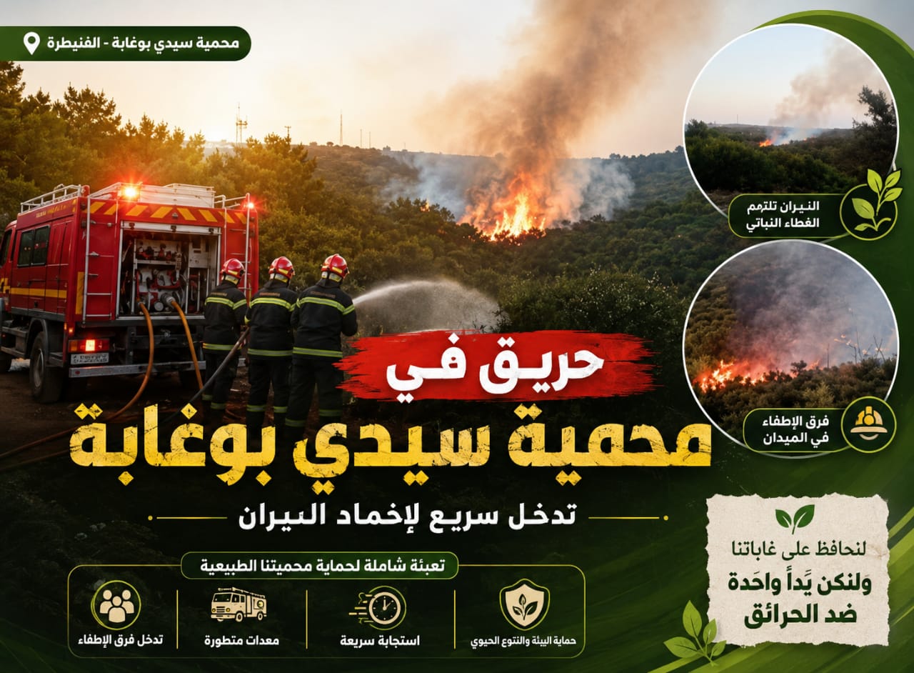 الخبير بنرامل : حريق محمية سيدي بوغابة ناقوس إنذار في زمن التغير المناخي