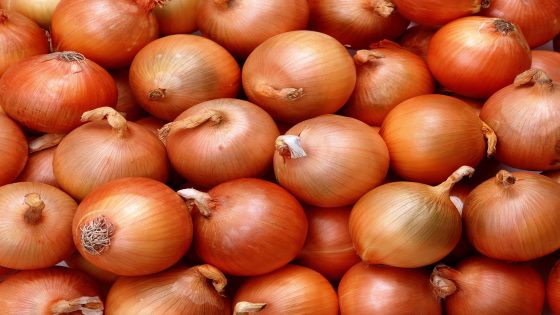 Onion background