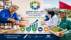 مكتب تنمية التعاون يطلق رؤية جديدة لتعزيز مساهمة التعاونيات في الاقتصاد الوطني