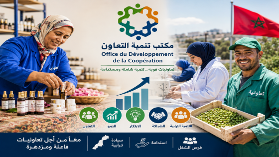 مكتب تنمية التعاون يطلق رؤية جديدة لتعزيز مساهمة التعاونيات في الاقتصاد الوطني